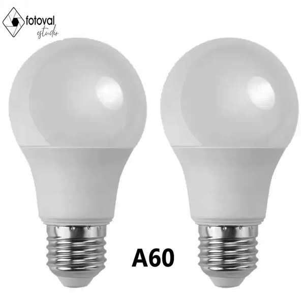 Bombilla LED A60 E27 10W 2 piezas Luz fría